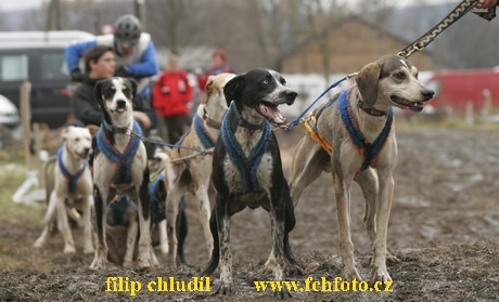 Bakonybel - 0817.JPG